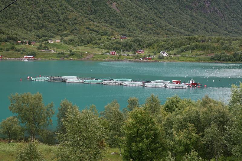 IMG_0612.JPG - Onderweg langs de fjorden zie je regelmatig een zalmkwekerij.